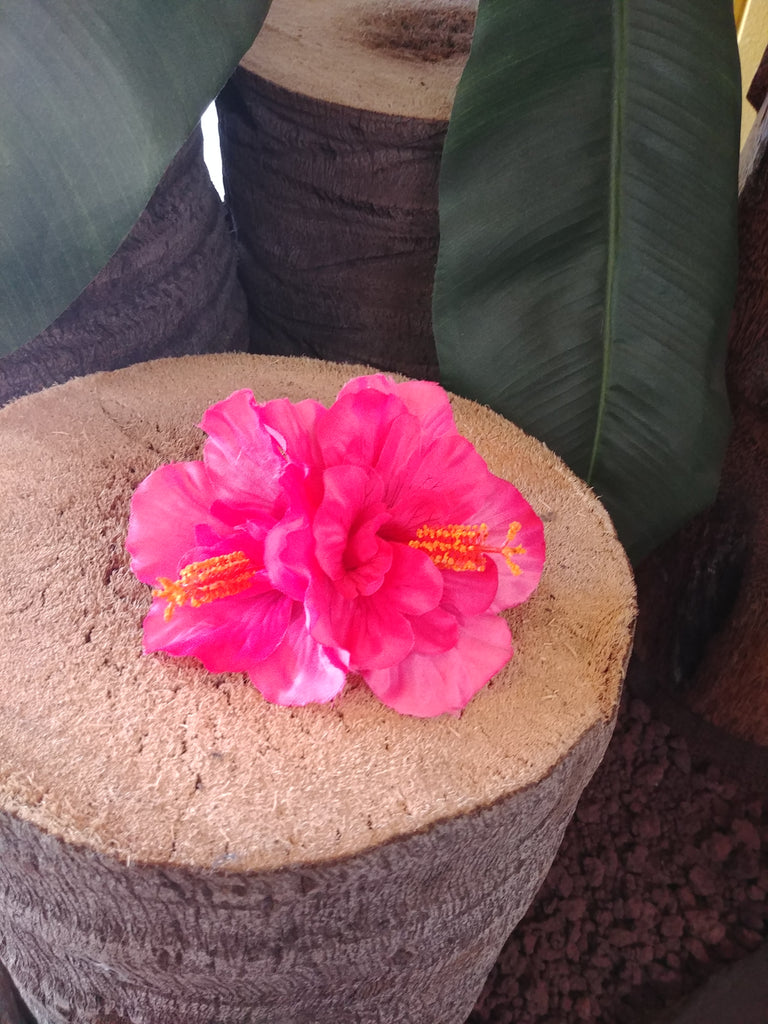 Pink Double Tropical Hibiscus