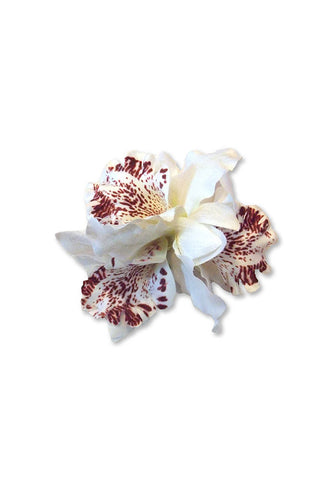 White & Pink Hawaiian Double Orchid Flower